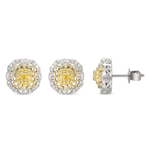 6F059291AUERYD 18KT Yellow Diamond Earring